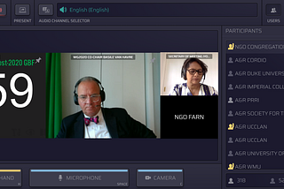 Screenshot of the plenary session. Three people’s faces are visible, including the author’s, as well as a countdown clock for the NGO that is speaking.