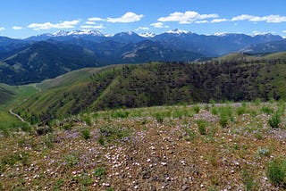 Why N3C opposes the Forest Service’s “Restoration” Plan for the Twisp River valley