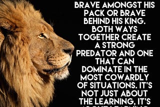 Be a Lion