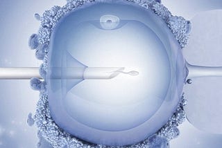 IVF fertilization