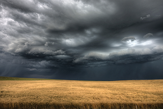 Photo of storm clouds over a field of wheat.