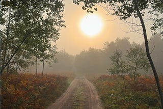 Country road at sunrise