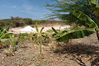 Famílias agricultoras continuam sendo beneficiadas pelo projeto Vida Digna para o Semiárido