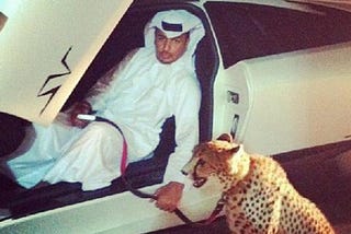 Cheetah next to your Lamborghini