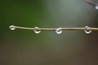 Sounds Of Rain & Thunder