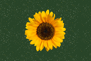 Books, Brain Fog & Unhinged Thoughts — Hi, I’m Moon!
