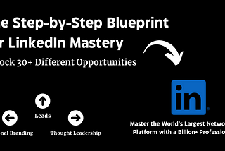 A Step by Step Blueprint for LinkedIn Mastery written in plain text