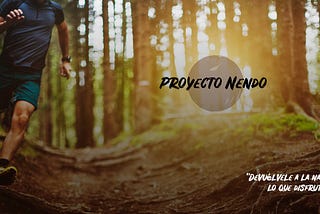 Proyecto Nendo