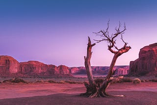 Desert scene in bi-lighting