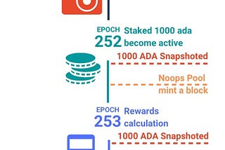 Cardano | Delegation and rewards distribution timeline | NOOPS Guide