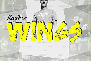 Download Mp3 : KayPee -Wings