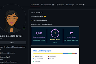 A Github Profile of a Software Engineer.