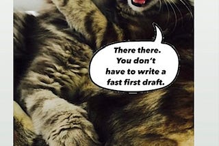 No, you don’t have to write a fast first draft.