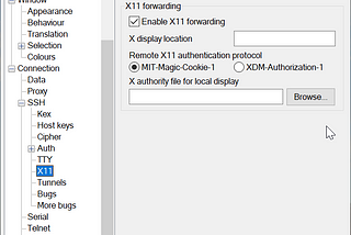 Run Remote Linux GUI Application from Windows with X11 Forwarding