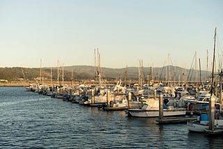 A shout of gratitude over the bow of the Harbor District