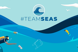 Short Take: #Team Seas