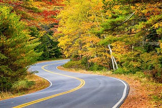 A winding road curves through a vibrant autumn forest, with trees displaying brilliant yellow, orange, and red leaves, evoking a serene and colorful scene.