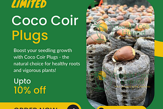 Coco Coir Plugs: The Perfect Seed Starting Solution