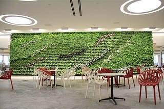 Benefits of Interior and Exterior Green Walls