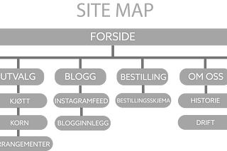 Design: Informasjonsarkitektur