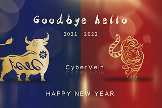 CyberVein 2021 Annual Report