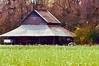 A farm house sitting back behind tall green grass to show southern life.