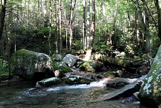 A mountain stream in the Great Smoky Mountains, sun and shade, small cascades of water bubbling over the old rocks.