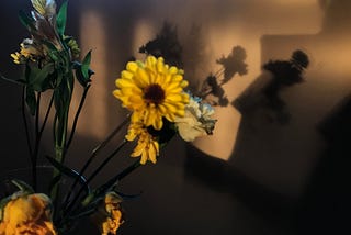 Picture of wildflowers creating a triple shadow of them on the wall behind