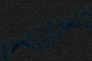 Eva — A mitochondrial story