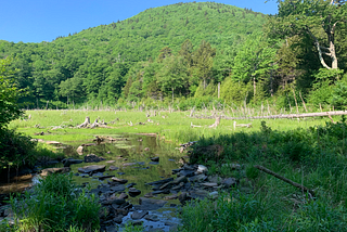 Regenerative work as an answer to resource depletion