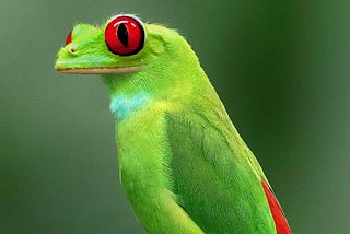 Pill bugs that aren’t bugs, birdfrogs, and deadly doomer basements