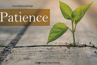Learning Patience: My Personal Journey of Growth and Discovery!