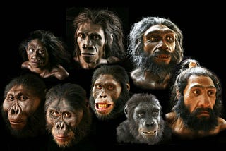 Human Evolution & Fantasy/Sci-Fi Races