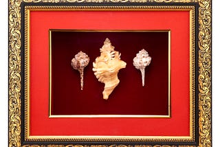 Ganesh Shankh & Gadda Shankh