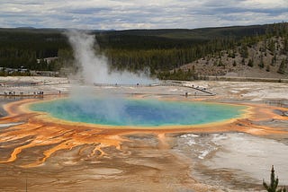 Yellowstone Chronicles: Tales of Wonder and Wildlife in the West