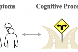 How can we model the brain when it goes awry?