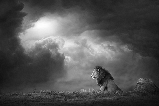 It Little Profits That An Idle King
