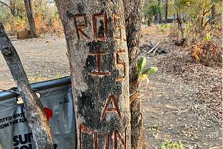 The Writing was on the Tree