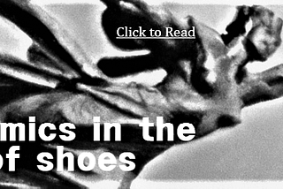 Economics and Shoes