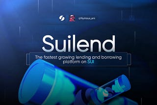 All About Suilend