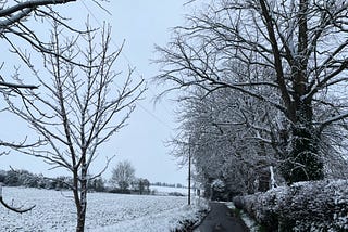 A grey sky, with a footpath to the right of a white snowy field, lined with trees covered in snow.