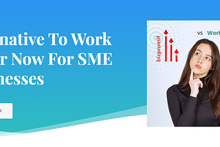 Alternative To Work Better Now For SME Businesses