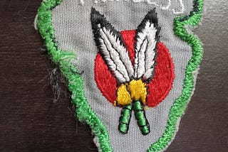 I Was An AWESOME Girl Scout A Princess Actually