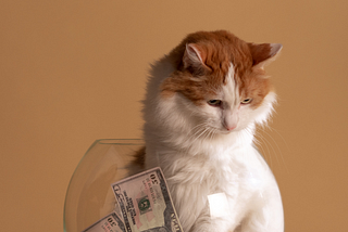 Millennial learning financial planning