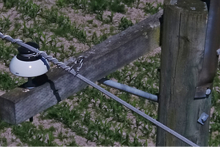 An insulator on a distribution pole