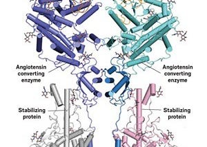 Drug Discovery against COVID-19