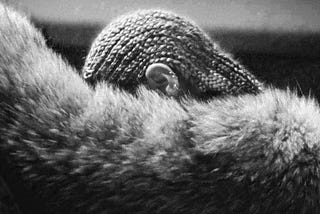 Lessons from Lemonade: A Celebratory Reflection on Beyoncé’s Impactful Album on Black Women’s…