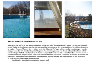 When You Died (I’m Sorry) We Left You on the Side of the Road: How To Go Outside Again
