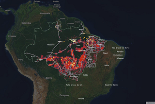 Data Visualizations of Floresta Silenciosa (Methodology)