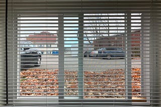 In Defense of Ignoring Your Routine: Living Alone During COVID-19